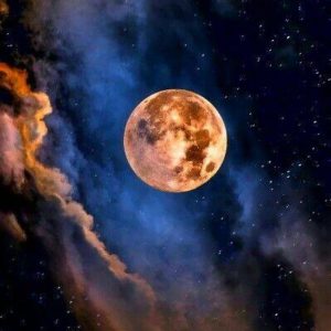 vollemaan tarot reading