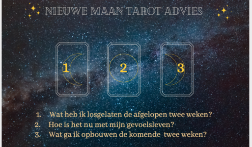Nieuwe Maan Tarot Advies