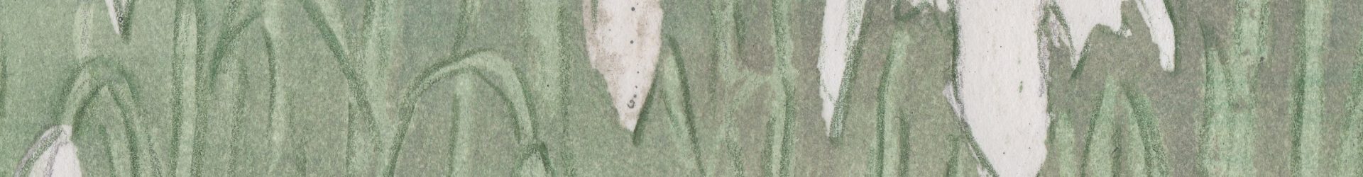 LENTE: Sneeuwklokjes, Tulpen, Appelbloesem, Viooltjes 4 ansichtkaarten